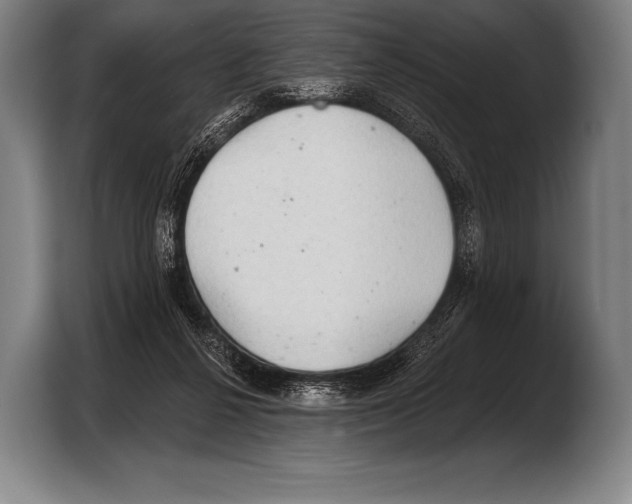 X0000103320264200810061000