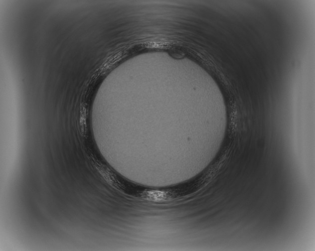 X0000103320265200810061000