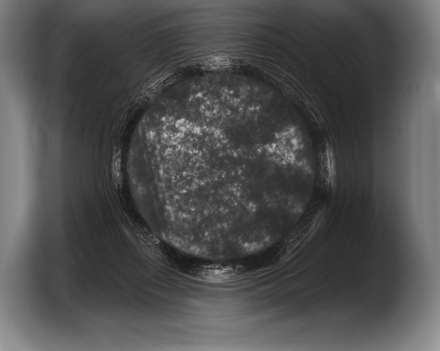 X0000103320267200810061000