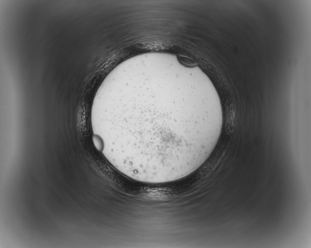 X0000103320268200810061000