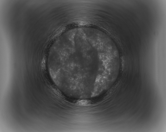 X0000103320269200810061000