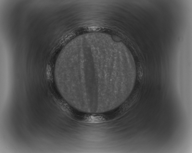 X0000103320270200810061000