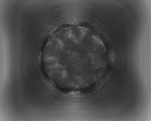 X0000103320271200810061000