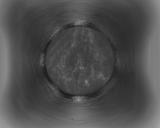 X0000103320273200810061000