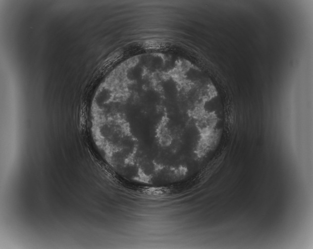 X0000103320277200810061001