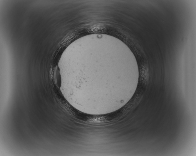 X0000103320278200810061001