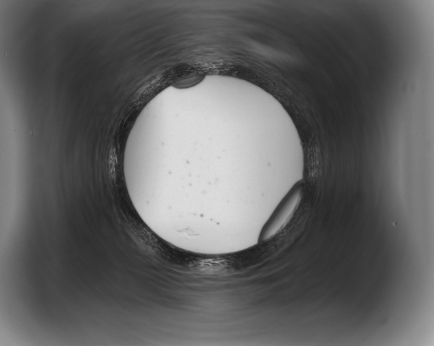 X0000103320279200810061001