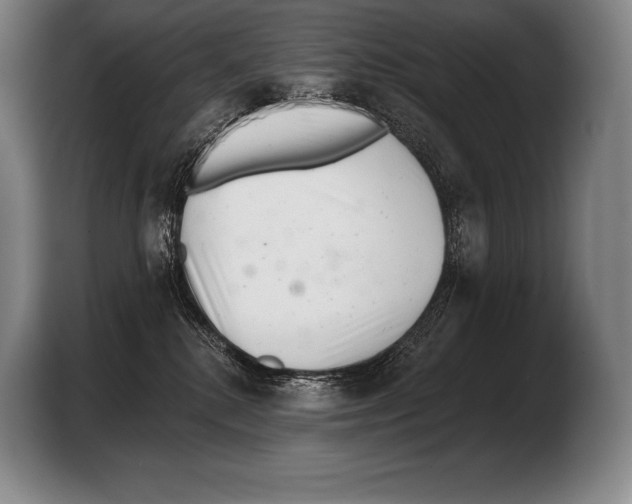 X0000103320280200810061001