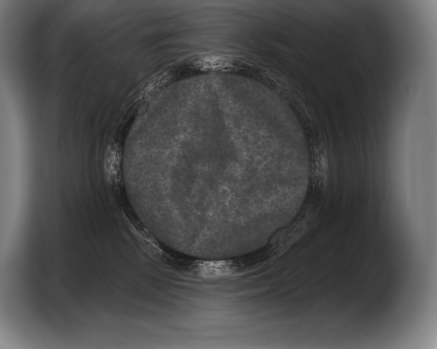 X0000103320281200810061001
