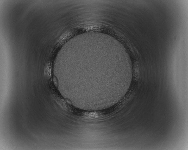 X0000103320282200810061001