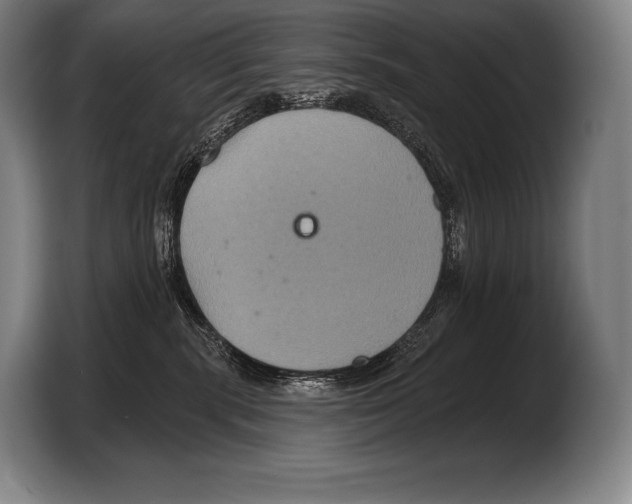 X0000103320283200810061001