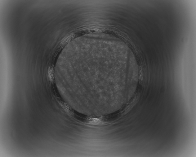 X0000103320285200810061001