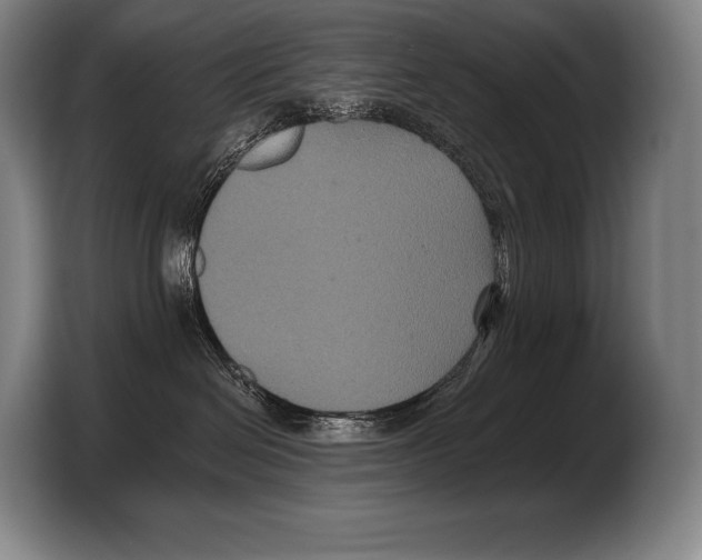 X0000103320286200810061001