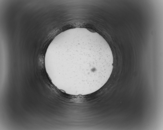 X0000103320288200810061001