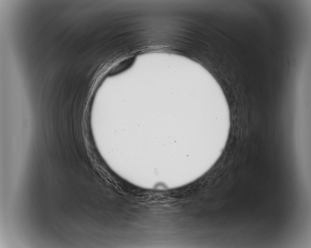 X0000103320289200810061000