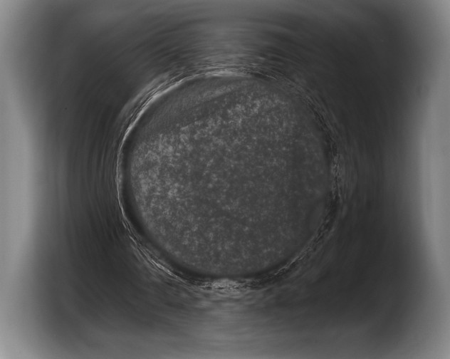X0000103320290200810061000