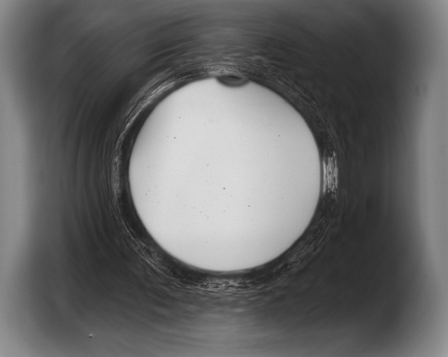 X0000103320291200810061000