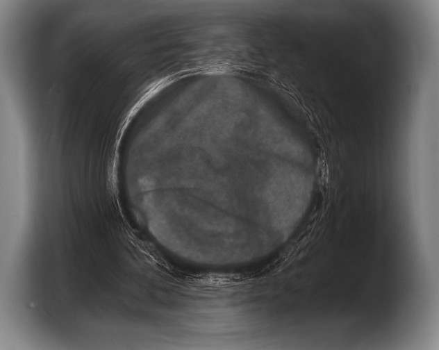 X0000103320292200810061000