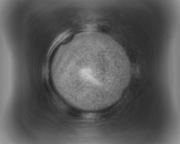 X0000103320293200810061000