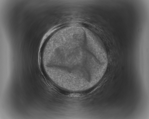 X0000103320294200810061000