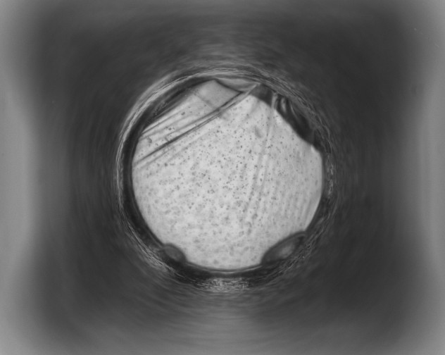 X0000103320296200810061000