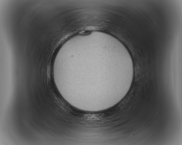 X0000103320297200810061000