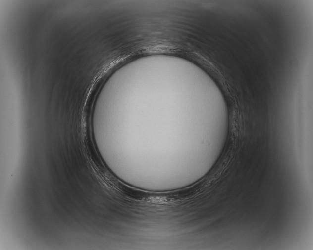 X0000103320298200810061000