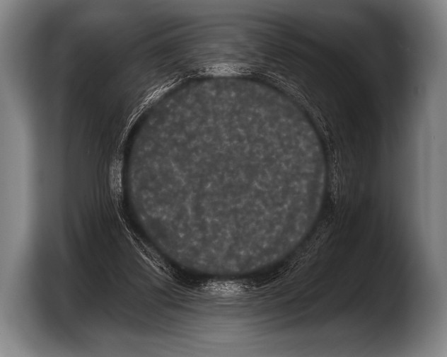 X0000103320299200810061000
