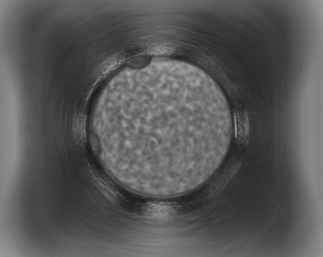 X0000103320300200810061000