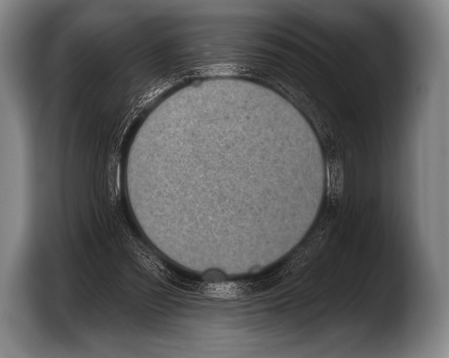 X0000103320301200810061000