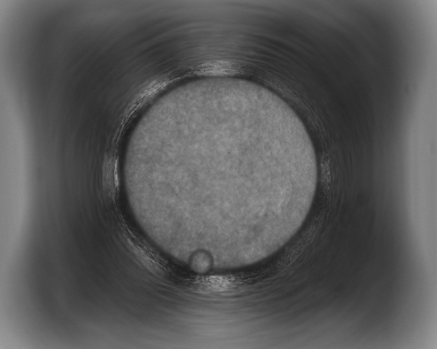 X0000103320302200810061000