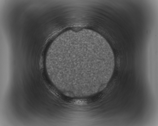X0000103320303200810061000
