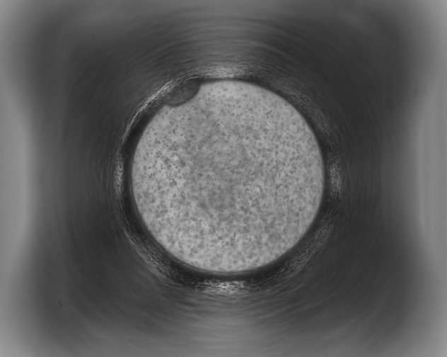 X0000103320304200810061000