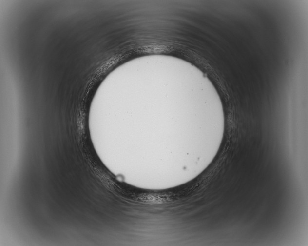 X0000103320305200810061000