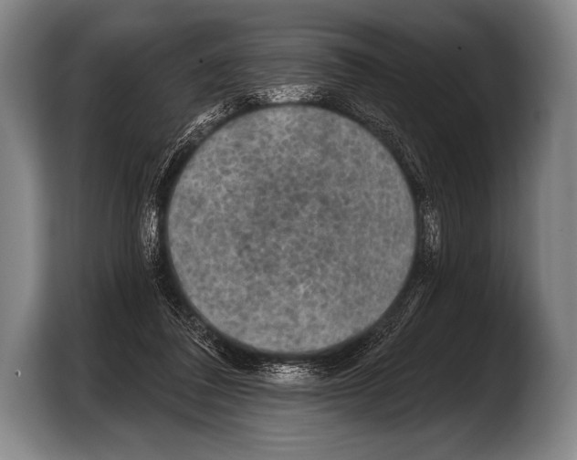 X0000103320308200810061000