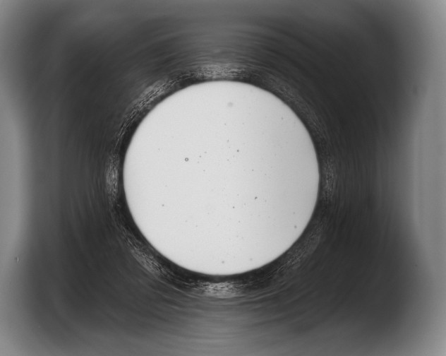 X0000103320309200810061000