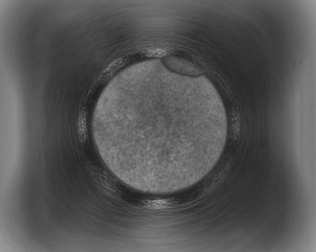 X0000103320312200810061000