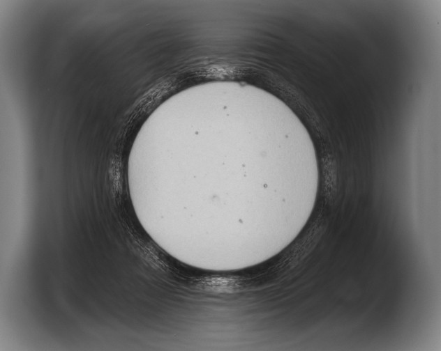 X0000103320313200810061000