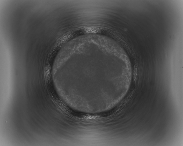 X0000103320314200810061000