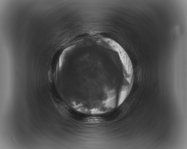 X0000103320316200810061000