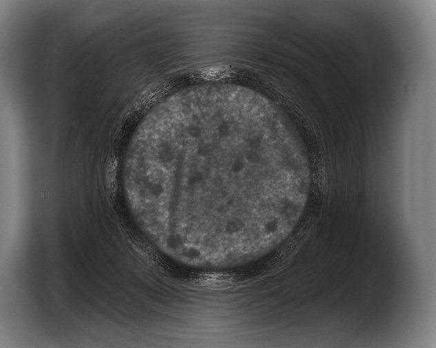 X0000103320319200810061000