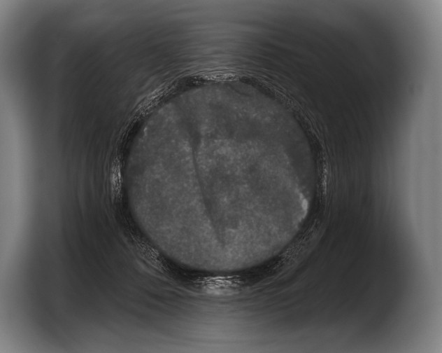 X0000103320320200810061000