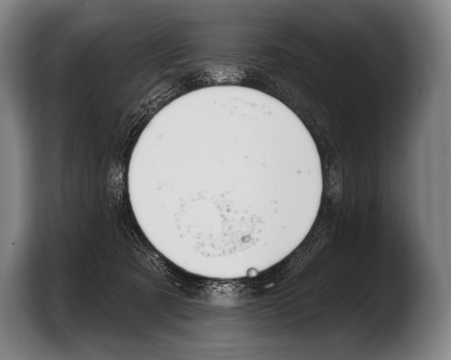 X0000103320321200810061000