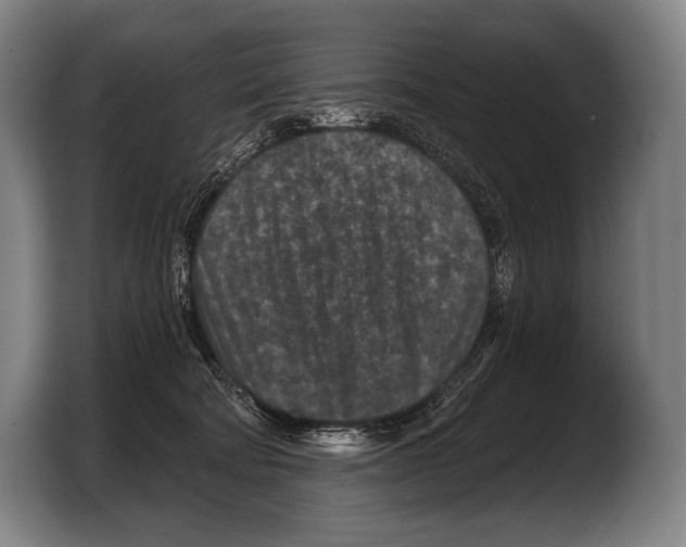 X0000103320322200810061000