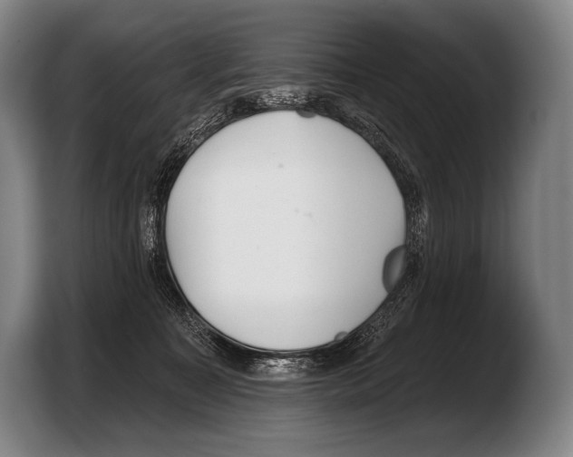 X0000103320323200810061000