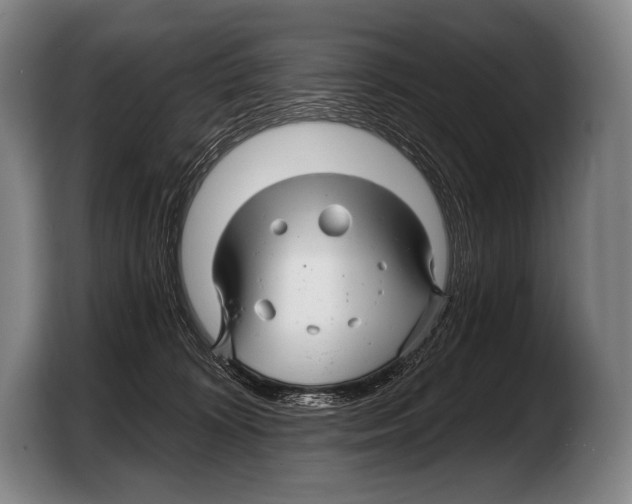 X0000103320324200810061000