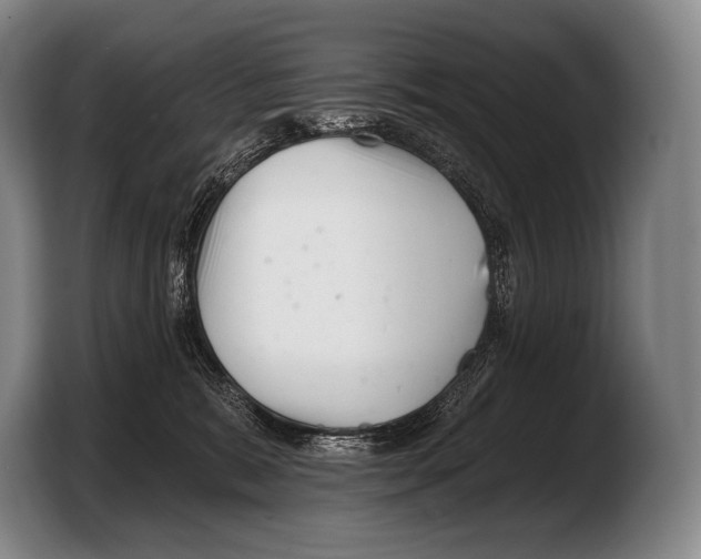 X0000103320327200810061000