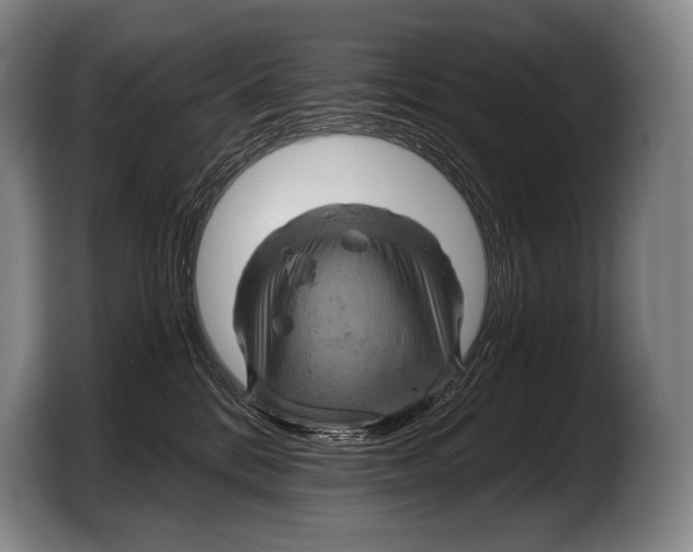 X0000103320328200810061000