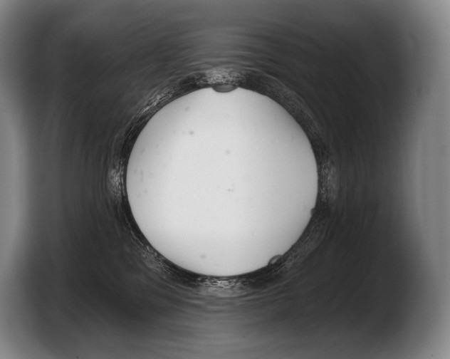 X0000103320329200810061000