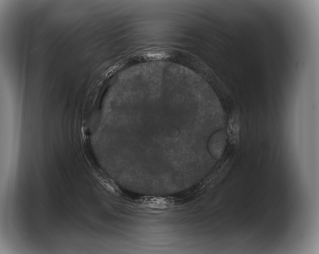 X0000103320330200810061000